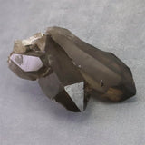 モンブラン産 煙水晶 セルフヒールド クラスター 235.5g (ID:42981)