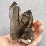 モンブラン産 煙水晶 セルフヒールド クラスター 235.5g (ID:42981)