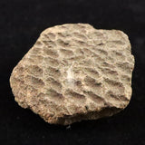 縄文土器 縄文中期 東北・北海道地域  42mm陶片  14.8g  (ID:43216)