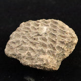 縄文土器 縄文中期 東北・北海道地域  42mm陶片  14.8g  (ID:43216)