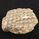 縄文土器 縄文中期 東北・北海道地域  42mm陶片  14.8g  (ID:43216)