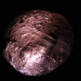 コロンビアナイト 原石 17.79g (ID:43346)