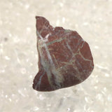 H&E社 レッドファイアアゼツライト(AZOZEO)  原石  証明書付 11.9g **特価品** (ID:43808)