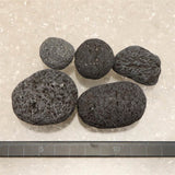 富士溶岩石 玄武岩 タンブル 5個セット ディレクトリカード付 127ｇ (ID:45752)