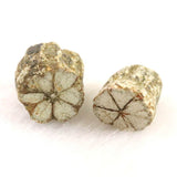 京都府亀岡市産　小紋桜石 4個セット 現品 1.91g (ID:45934)