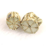 京都府亀岡市産　小紋桜石 4個セット 現品 1.91g (ID:45934)