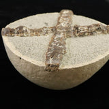 北海道石狩市産 グレンドン石 イカ石 100mm 原石 510g *希少石*  (ID:46867)