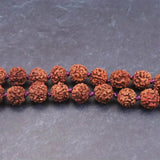 インドネシア産 ルドラクシャ 金剛菩提樹  8mm玉ネックレス 20.0g (ID:46981)