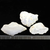 島根県大津島産　玉髄　カルセドニー 原石3個セット 79.3g (ID:48289)