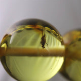 天然琥珀 バルティックアンバー 虫入り　アンバー  12mm玉ブレスレット 16.75g (ID:49411)