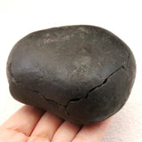 シャリグラム サリグラム アンモナイト化石　聖石  534g (ID:49636)