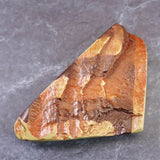 ゼブラストーン 44mmタンブル 24.8g (ID:49892)