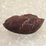 H&E社 レッドファイアアゼツライト(AZOZEO)  原石  証明書付 16.7g (ID:50273)