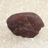 H&E社 レッドファイアアゼツライト(AZOZEO)  原石  証明書付 16.7g (ID:50273)