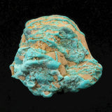 米国ローンマウンテン鉱山産 ターコイズ トルコ石 40mm原石 21.9g (ID:51542)