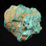 米国ローンマウンテン鉱山産 ターコイズ トルコ石 40mm原石 21.9g (ID:51542)