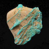 米国ローンマウンテン鉱山産 ターコイズ トルコ石 40mm原石 21.9g (ID:51542)