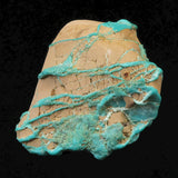 米国ローンマウンテン鉱山産 ターコイズ トルコ石 40mm原石 21.9g (ID:51542)