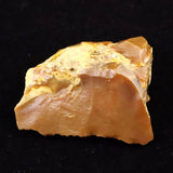 北海道幌加内町　ペトリファイドウッド 珪化木  46mm原石 36.7g  (ID:52339)