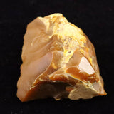 北海道幌加内町　ペトリファイドウッド 珪化木  46mm原石 36.7g  (ID:52339)