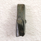 ザギマウンテン産 40mmエジリン輝石 11.33g (ID:53516)