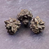 プロフェシーストーン 予言の石  原石 3個セット 61.6g (ID:53549)