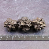 プロフェシーストーン 予言の石  原石 3個セット 61.6g (ID:53549)