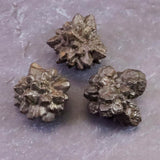 プロフェシーストーン 予言の石  原石 3個セット 61.6g (ID:53549)