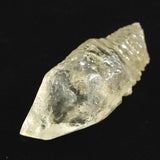 ミナスジェライス州産 ゴールデン 犬牙状カルサイト  17.0g (ID:53718)