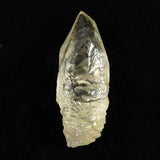 ミナスジェライス州産 ゴールデン 犬牙状カルサイト  17.0g (ID:53718)