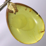 天然琥珀　バルティックアンバー 24mm ペアシェイプ ペンダントトップ 3.0g (ID:53960)