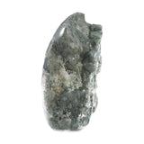 ヒマラヤ マニハール産 ガーデンクォーツ 庭園水晶 59mmハーフポリッシュ 95g (ID:55671)