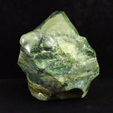 出雲碧玉 出雲石 125mm原石磨き 置物 ディレクトリカード付 1692g　 (ID:55816)