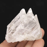 メキシコ ナイカ鉱山産 セレナイト 54mm原石 73g (ID:56848)