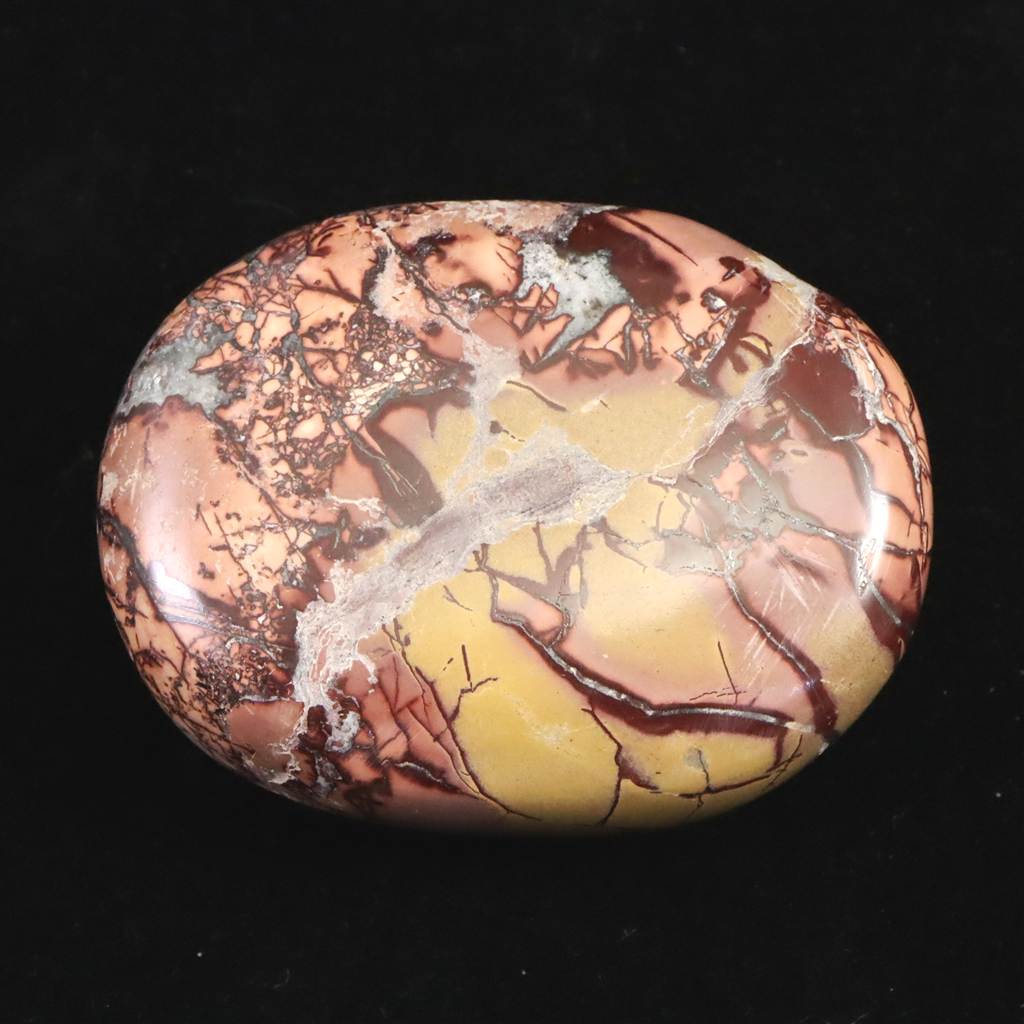 ムーアカイト | 榎本通商