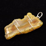 H&E社　ニュージーランド産カーネリアン（AZOZEO)　ペンンダントトップ 6.6g (ID:59373)