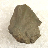 打製石器  47mm  後期旧石器時代 東北・北海道地域 12.3g (ID:60486)