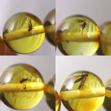 天然琥珀 バルティックアンバー 虫入り　アンバー  8mm玉ブレスレット 7.1g (ID:62356)