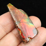 アンモライト アンモナイト化石　スライス　原石　5.05ｇ (ID:62360)