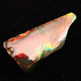 アンモライト アンモナイト化石　スライス　原石　5.05ｇ (ID:62360)