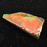 アンモライト アンモナイト化石　スライス　原石　5.05ｇ (ID:62360)