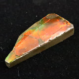 アンモライト アンモナイト化石　スライス　原石　5.05ｇ (ID:62360)