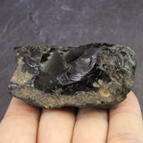 隠岐の島 黒曜石 原石  ディレクトリーカード付 80.5g (ID:63539)
