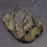 隠岐の島 黒曜石 原石  ディレクトリーカード付 80.5g (ID:63539)