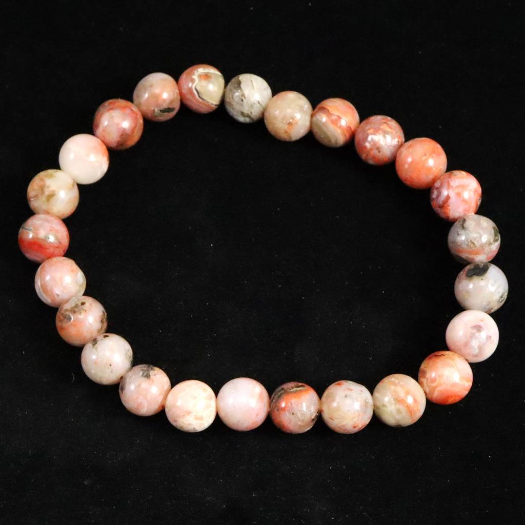 シナゼツ | 榎本通商