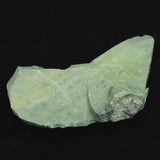 出雲碧玉 出雲石 60mm原石 ディレクトリカード付 35.4g　 (ID:64241)