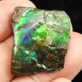 アンモライト アンモナイト化石　スライス　原石　5.5ｇ (ID:64341)