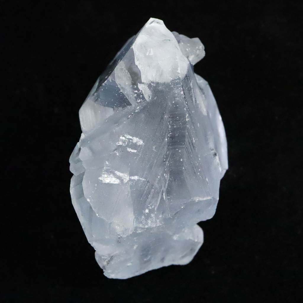 新着商品 | 榎本通商