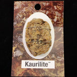 H&E社　カウリライト(AZOZEO)　ペンダントトップ　6.8g (ID:65348)