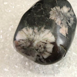 岐阜県根尾谷産 菊花石 312.5g (ID:65452)